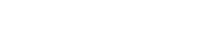 Honeymoon Professional